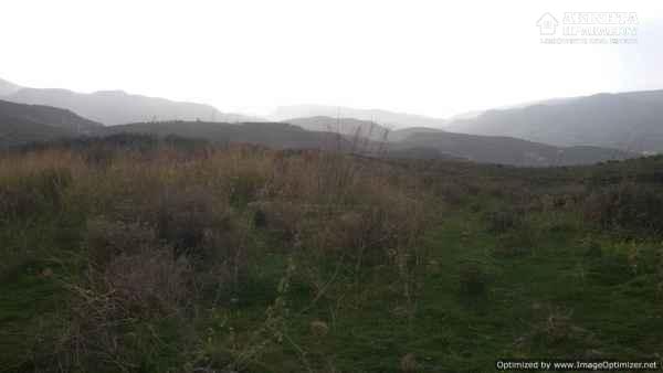 20180207_114834.jpg